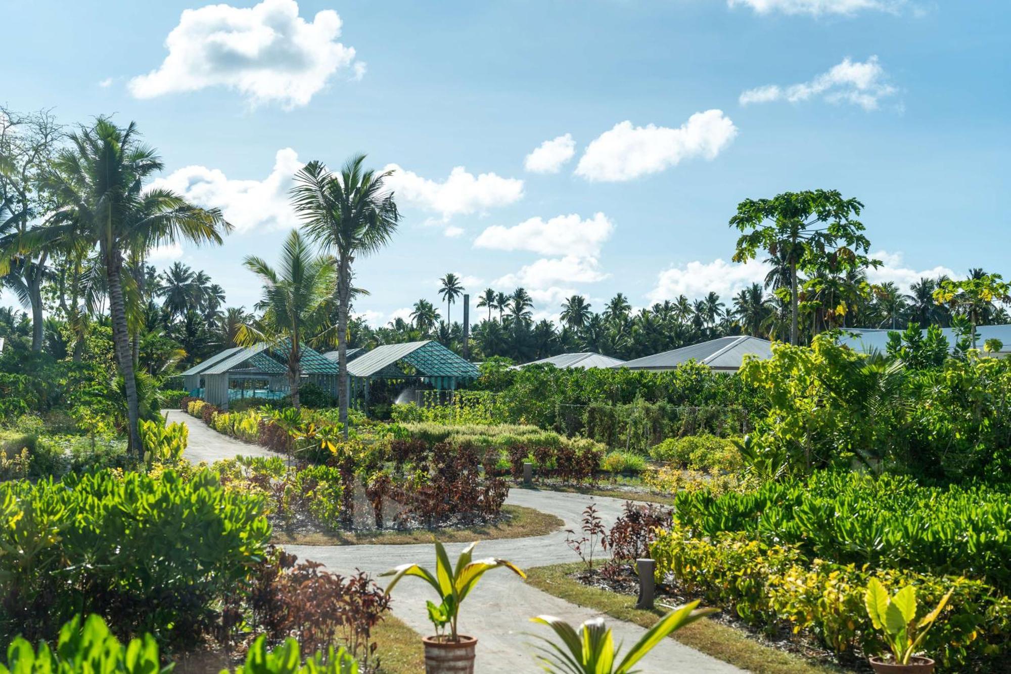 Готель Waldorf Astoria Seychelles Platte Island Екстер'єр фото